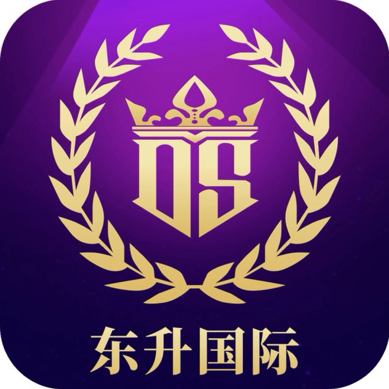 东升国际